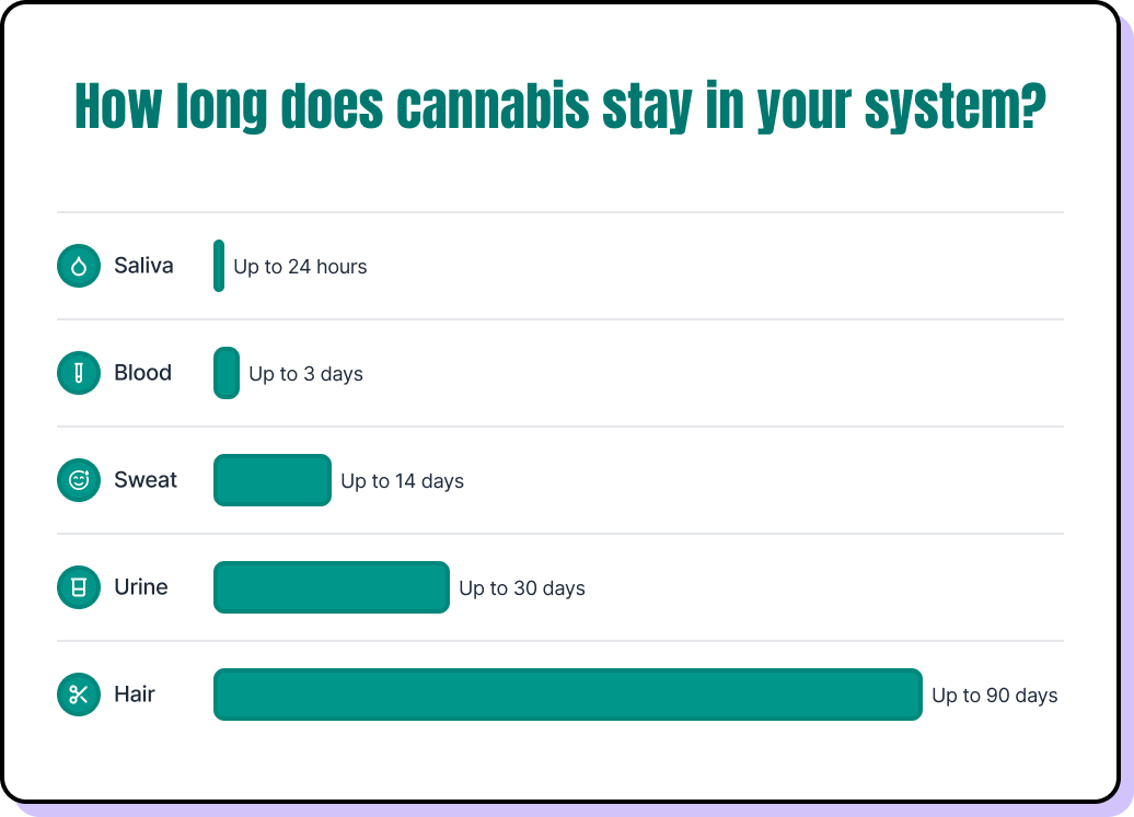 Bar chart showing how long cannabis may remain detectable in the body: saliva up to 24 hours, blood up to 3 days, sweat up to 14 days, urine up to 30 days, and hair up to 90 days.