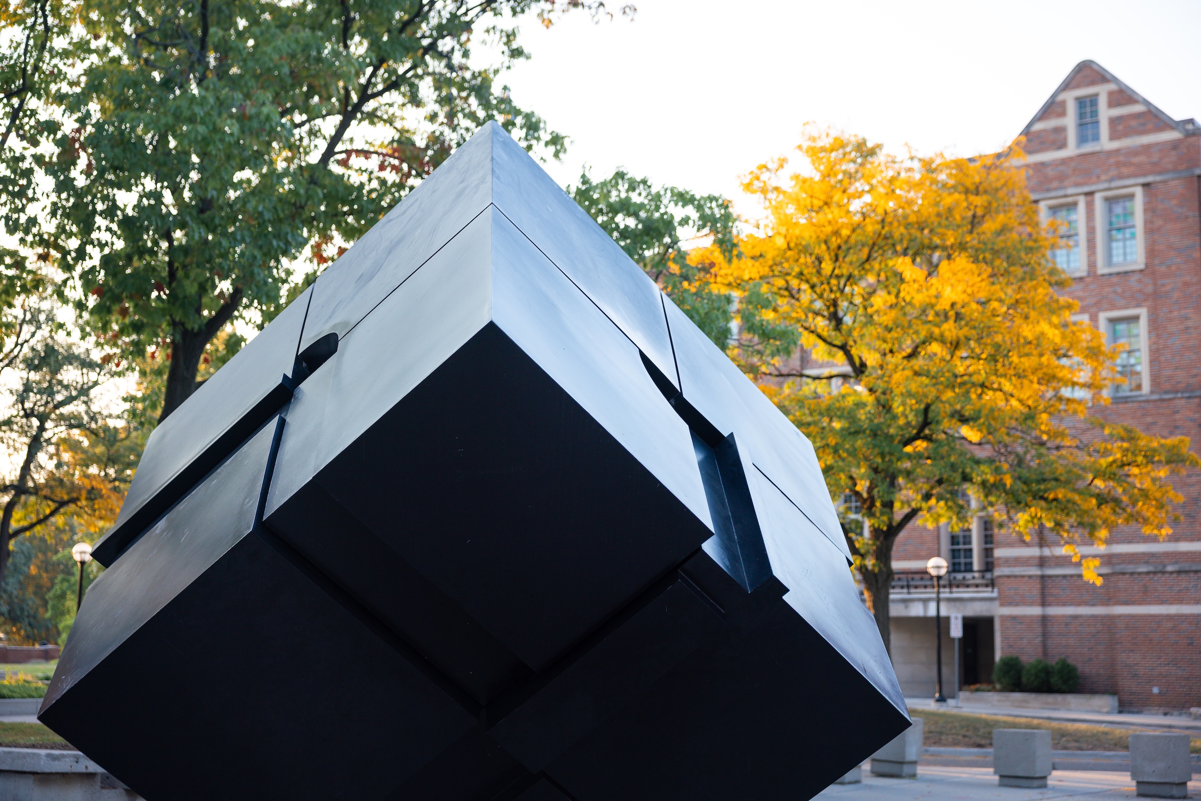 The Cube sculpture surrounded by colorful fall leaves near the Michigan Union.